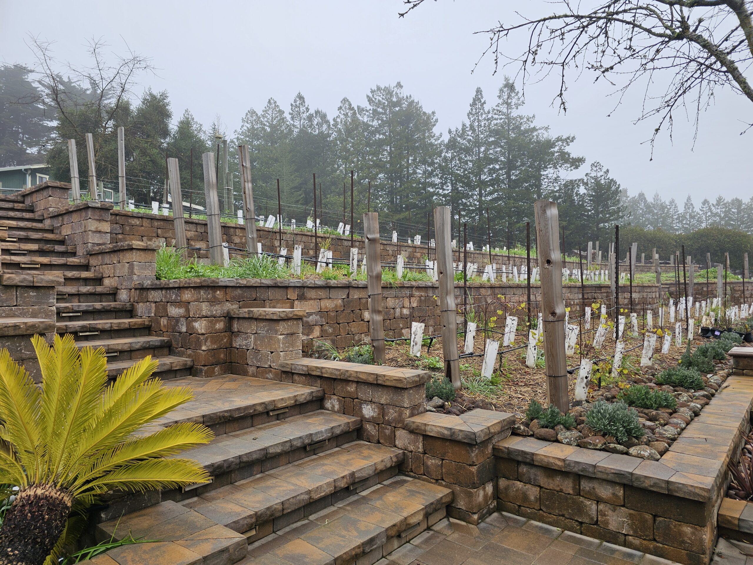 Beautiful stone paver steps by the Legacy Paver Group in Santa Rosa, CA.